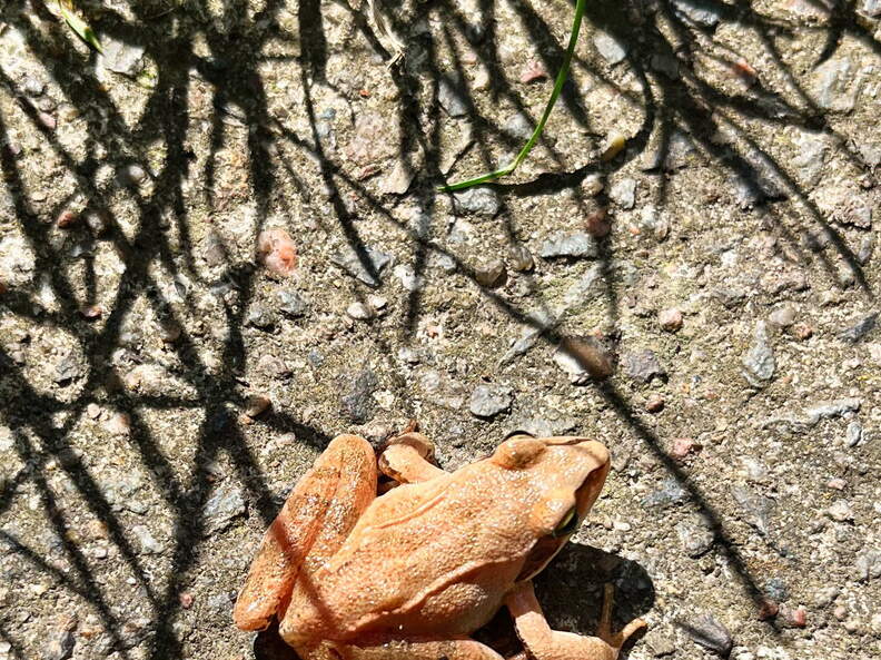 24-07-01 11-11-24 0051